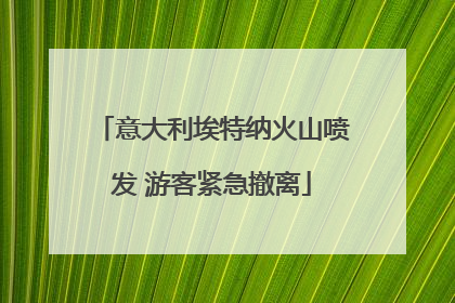 意大利埃特纳火山喷发 游客紧急撤离