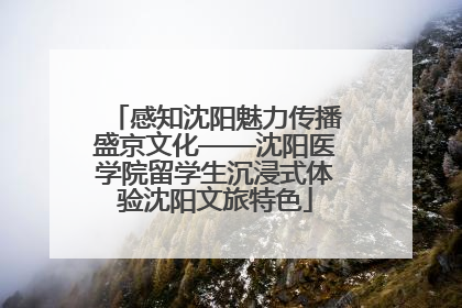 感知沈阳魅力传播盛京文化——沈阳医学院留学生沉浸式体验沈阳文旅特色