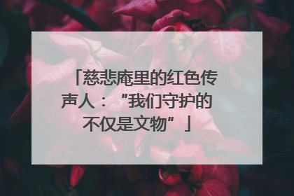慈悲庵里的红色传声人：“我们守护的不仅是文物”