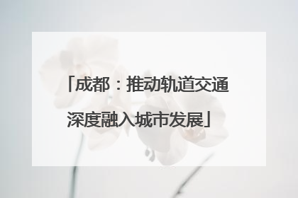 成都：推动轨道交通深度融入城市发展