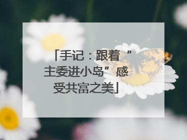 手记：跟着“主委进小岛”感受共富之美