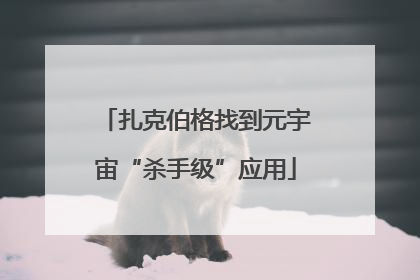 扎克伯格找到元宇宙“杀手级”应用
