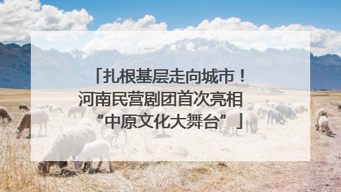 扎根基层走向城市！河南民营剧团首次亮相“中原文化大舞台”