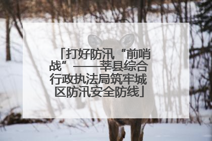 打好防汛“前哨战”——莘县综合行政执法局筑牢城区防汛安全防线