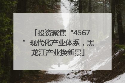 投资聚焦“4567”现代化产业体系，黑龙江产业换新景