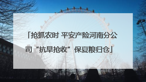 抢抓农时 平安产险河南分公司“抗旱抢收”保夏粮归仓