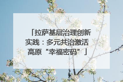 拉萨基层治理创新实践：多元共治激活高原“幸福密码”