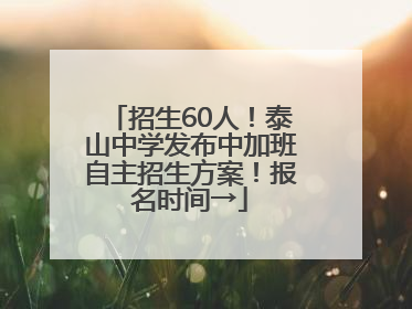 招生60人！泰山中学发布中加班自主招生方案！报名时间→