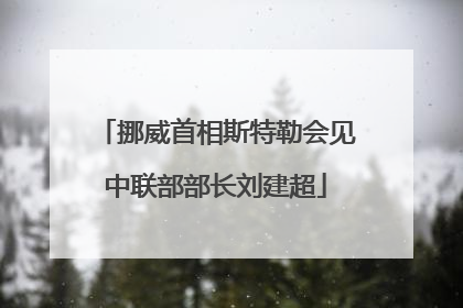 挪威首相斯特勒会见中联部部长刘建超
