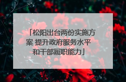 松阳出台两份实施方案 提升政府服务水平和干部履职能力