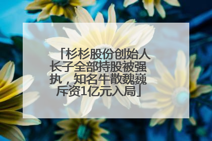 杉杉股份创始人长子全部持股被强执，知名牛散魏巍斥资1亿元入局