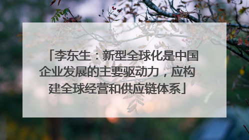 李东生：新型全球化是中国企业发展的主要驱动力，应构建全球经营和供应链体系