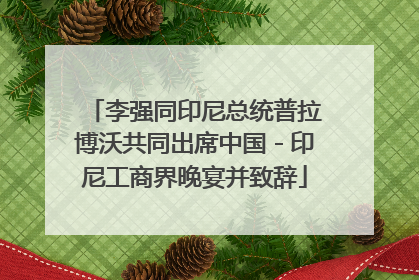 李强同印尼总统普拉博沃共同出席中国－印尼工商界晚宴并致辞