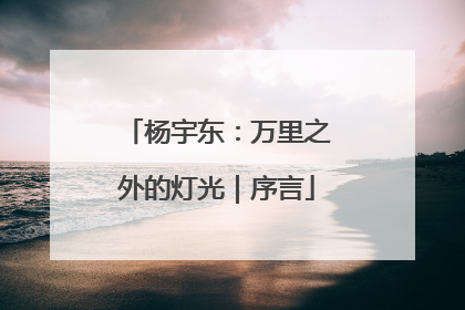 杨宇东：万里之外的灯光｜序言