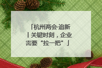 杭州两会·追新丨关键时刻，企业需要“拉一把”