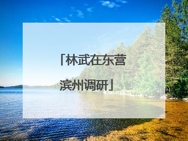 林武在东营滨州调研