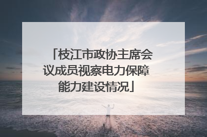 枝江市政协主席会议成员视察电力保障能力建设情况