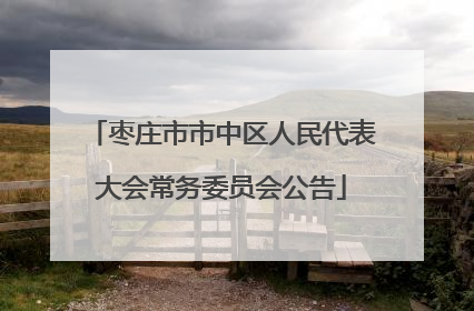 枣庄市市中区人民代表大会常务委员会公告