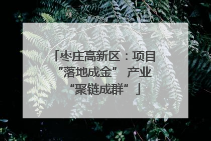 枣庄高新区：项目“落地成金” 产业“聚链成群”
