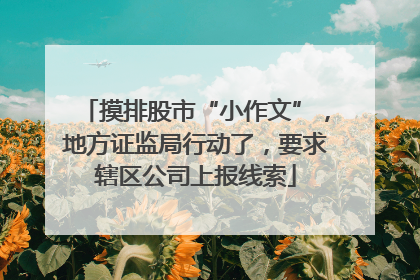 摸排股市“小作文”，地方证监局行动了，要求辖区公司上报线索
