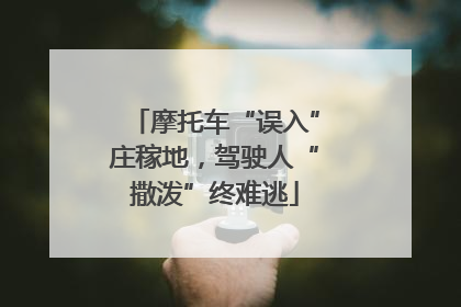 摩托车“误入”庄稼地，驾驶人“撒泼”终难逃