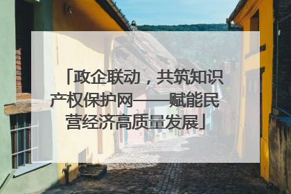 政企联动，共筑知识产权保护网——赋能民营经济高质量发展