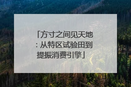 方寸之间见天地：从特区试验田到提振消费引擎