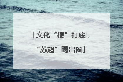 文化“梗”打底，“苏超”踢出圈