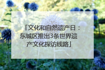 文化和自然遗产日：东城区推出3条世界遗产文化探访线路