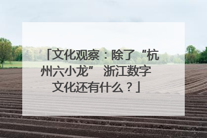 文化观察：除了“杭州六小龙” 浙江数字文化还有什么？