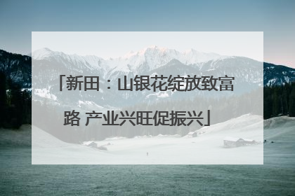 新田：山银花绽放致富路 产业兴旺促振兴