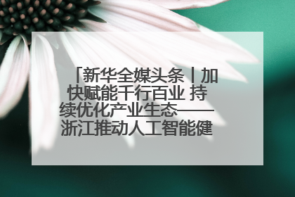 新华全媒头条丨加快赋能千行百业 持续优化产业生态——浙江推动人工智能健康有序发展观察