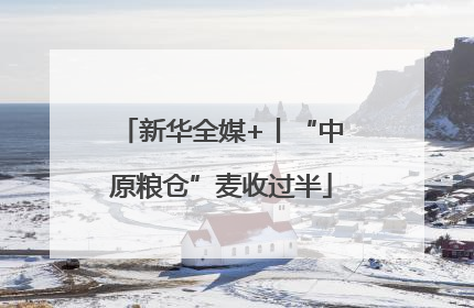 新华全媒+丨“中原粮仓”麦收过半