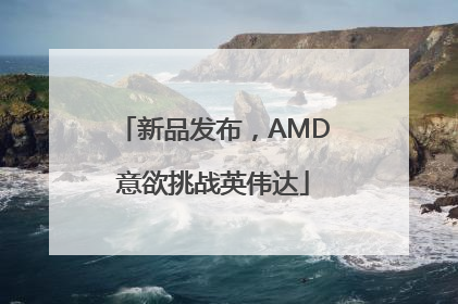 新品发布，AMD意欲挑战英伟达