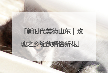 新时代美德山东｜玫瑰之乡绽放婚俗新花