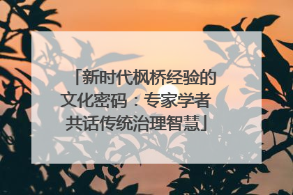 新时代枫桥经验的文化密码：专家学者共话传统治理智慧