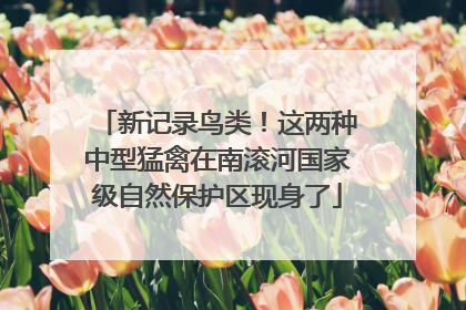 新记录鸟类！这两种中型猛禽在南滚河国家级自然保护区现身了