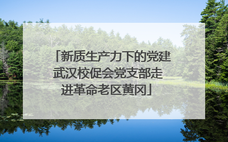 新质生产力下的党建 武汉校促会党支部走进革命老区黄冈