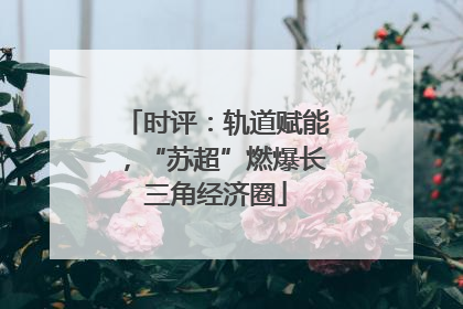 时评：轨道赋能，“苏超”燃爆长三角经济圈