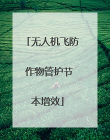 无人机飞防 作物管护节本增效