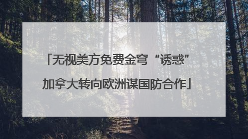 无视美方免费金穹“诱惑” 加拿大转向欧洲谋国防合作