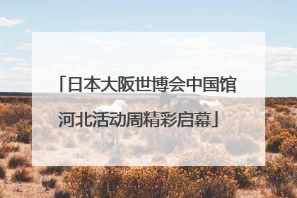 日本大阪世博会中国馆河北活动周精彩启幕