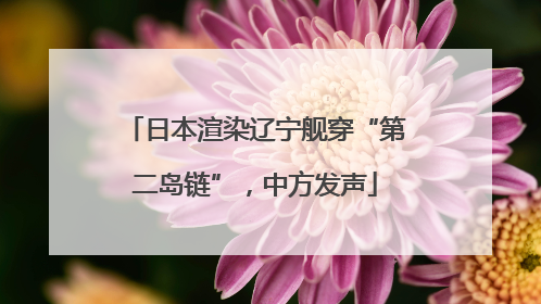 日本渲染辽宁舰穿“第二岛链”，中方发声