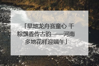 旱地龙舟赛童心 千粽飘香传古韵——河南多地花样迎端午