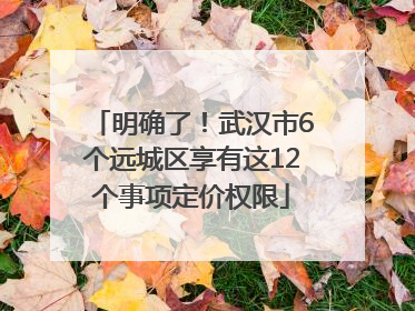 明确了！武汉市6个远城区享有这12个事项定价权限