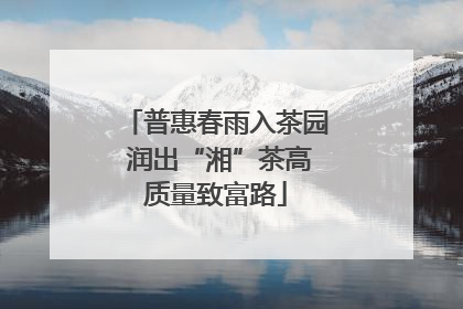 普惠春雨入茶园 润出“湘”茶高质量致富路