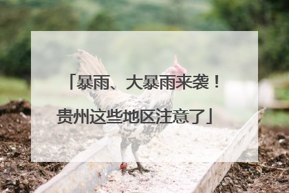 暴雨、大暴雨来袭！贵州这些地区注意了