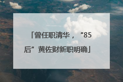 曾任职清华，“85后”黄佐财新职明确