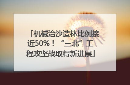 机械治沙造林比例接近50%！“三北”工程攻坚战取得新进展