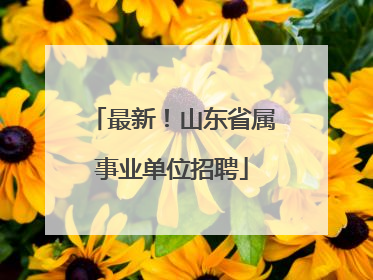 最新！山东省属事业单位招聘